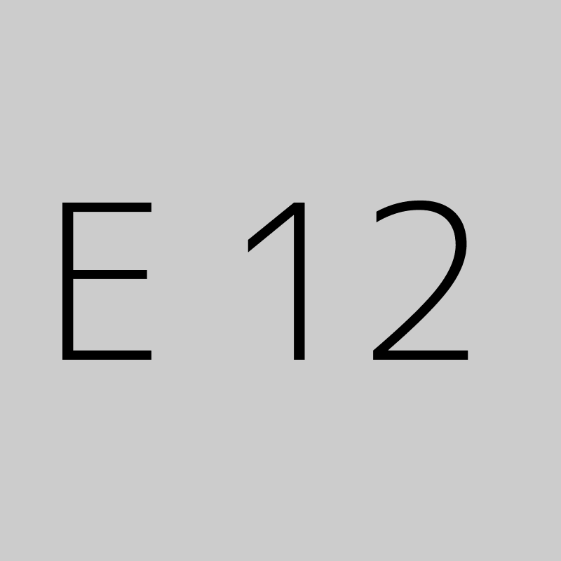 E 12 